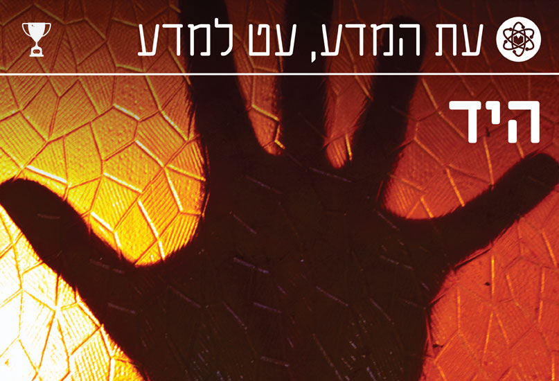 תמונת כותרת