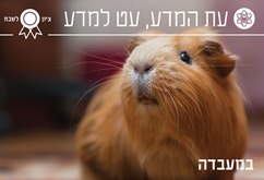 במעבדה / דפנה שמשוני