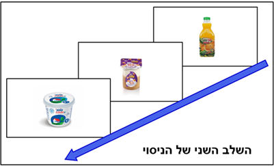 השלב השני של הניסוי