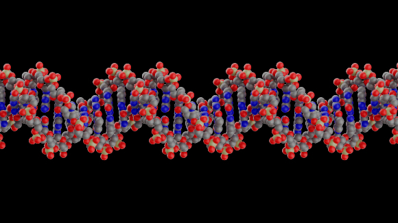 DNA